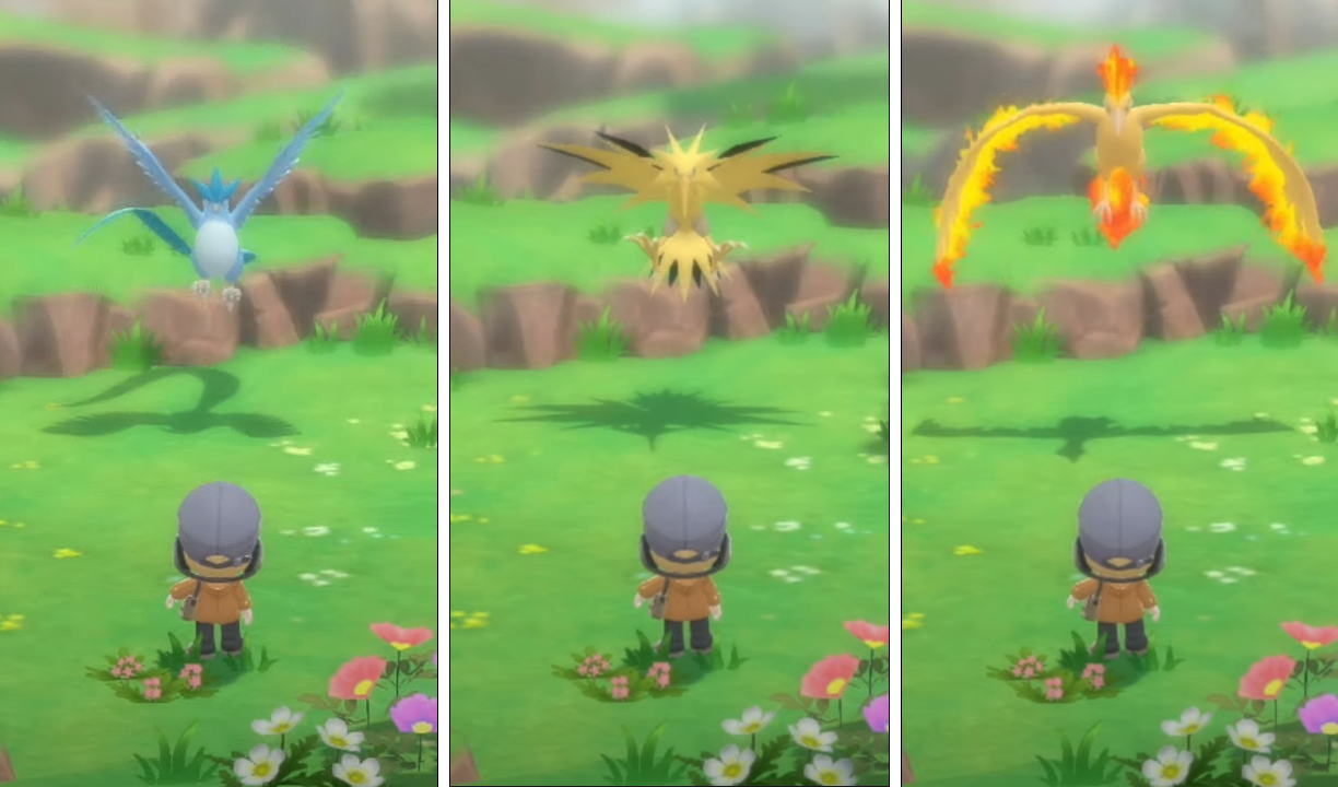 kanto uccelli in pokemon bdsp