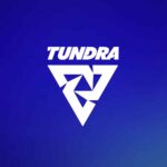 Fonti: Tundra entrerà negli eSport di Valorant con il roster YONK