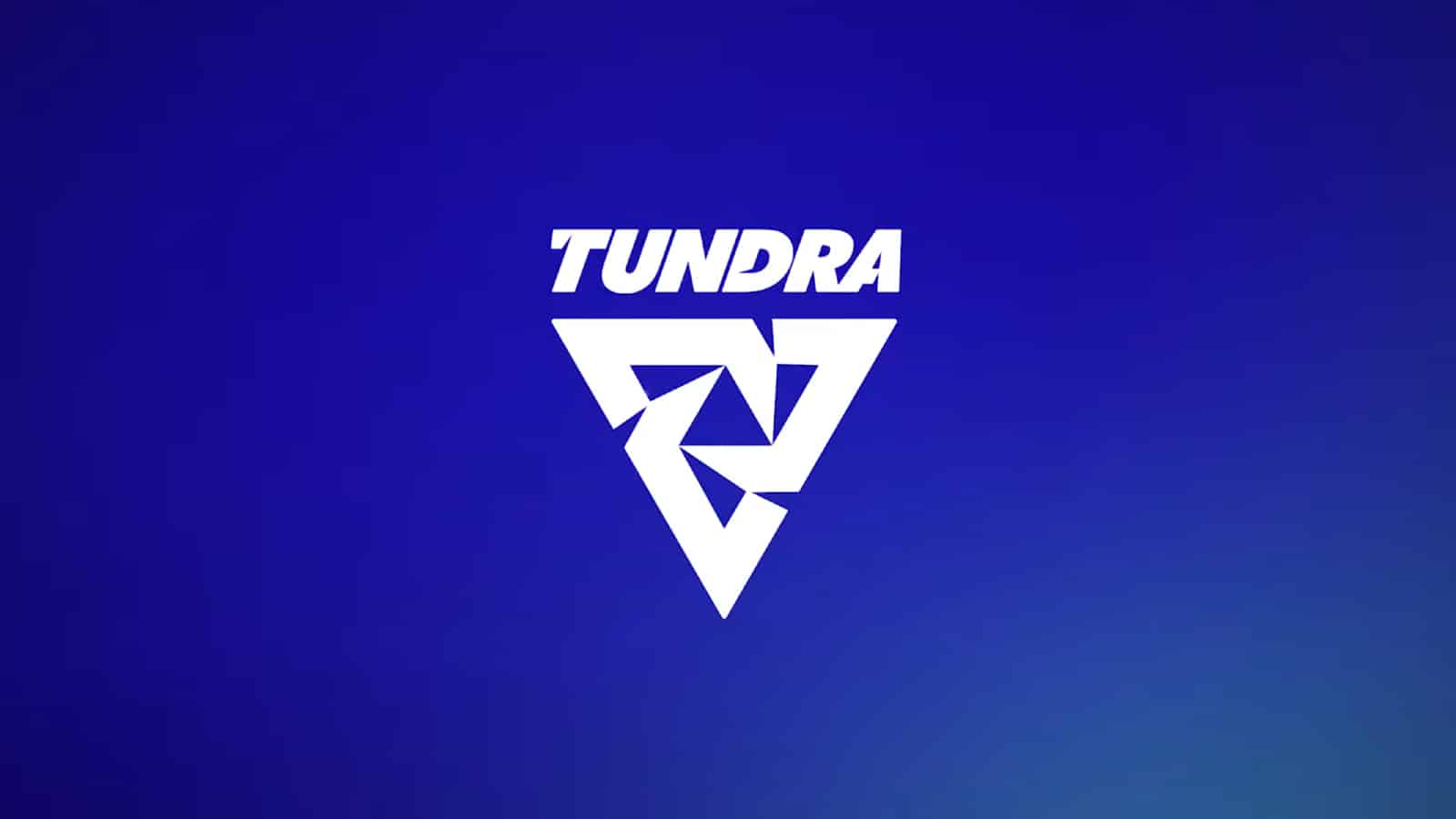 Fonti: Tundra entrerà negli eSport di Valorant con il roster YONK