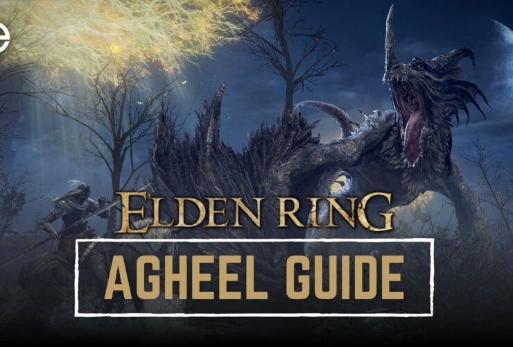 Flying Dragon Agheel Elden Ring