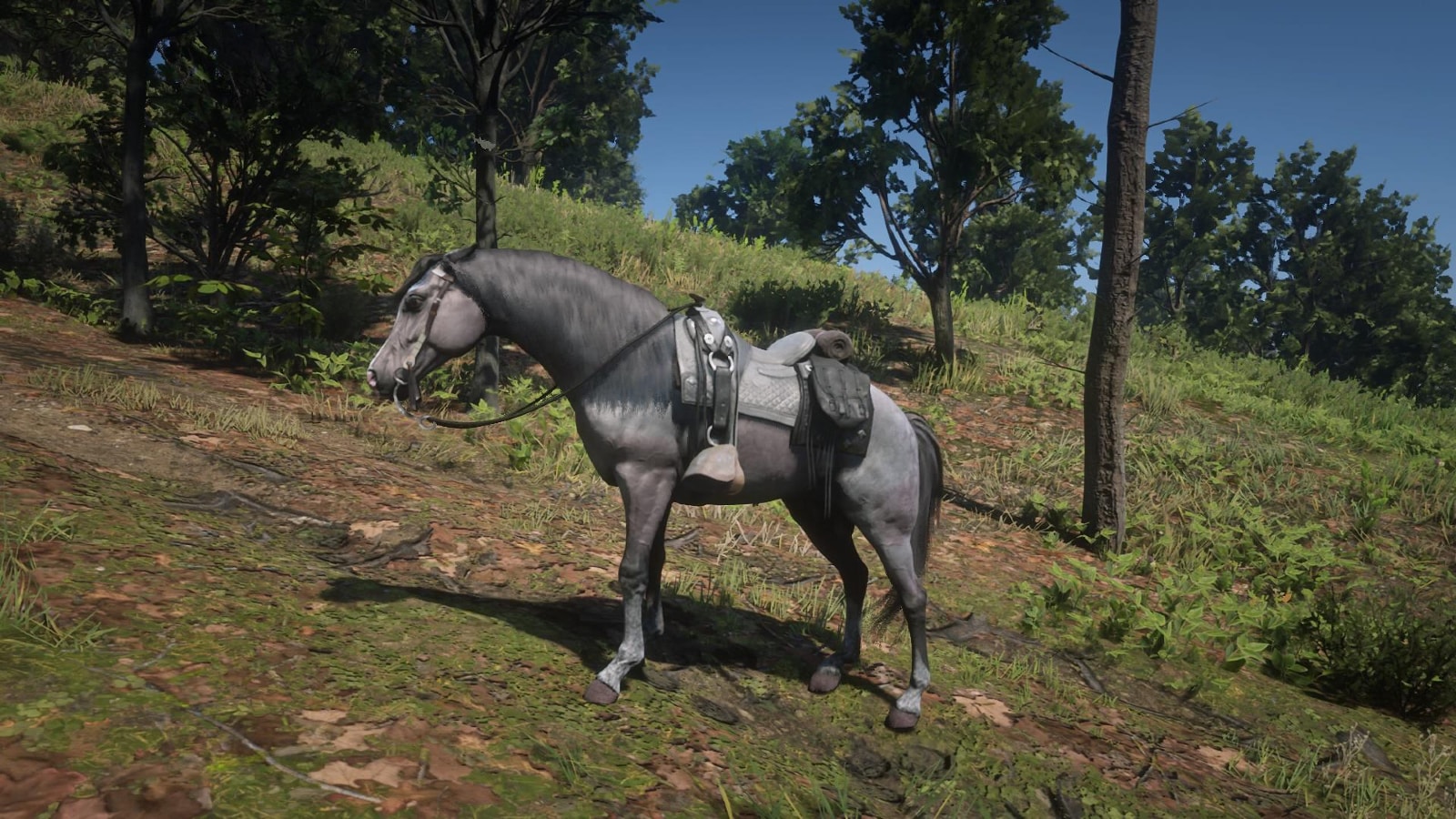 il Rose Bay Grey Arabian, il miglior cavallo in red dead redemption 2
