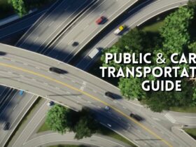 Public & Cargo Transportation Guide in Cities Skylines 2