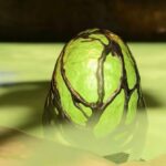 Baldur's Gate 3: La missione "Ruba un uovo di Githyanki".